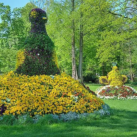 Maisonette Am Belchen 아파트