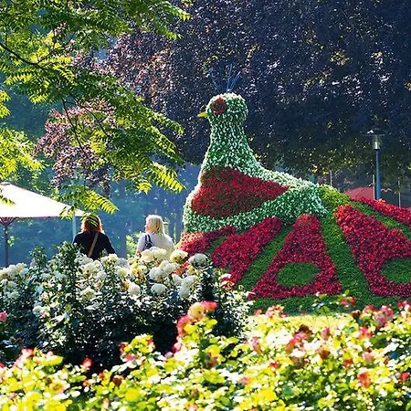 Апартаменты Maisonette Am Belchen Бад-Кроцинген